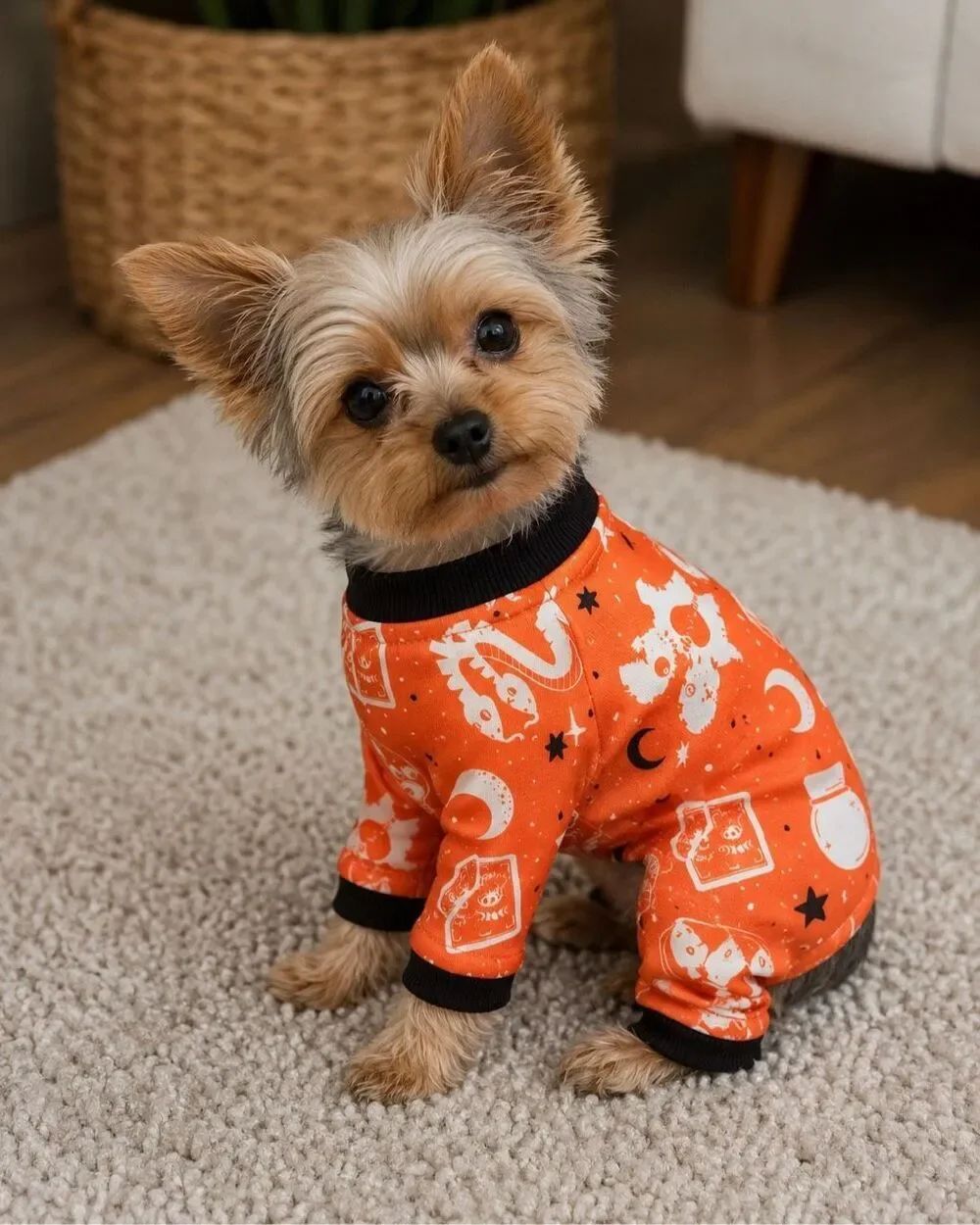 Bootique by Petco Halloween Pet Pajamas XXS
